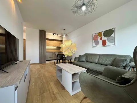 Izdavanje, jednosoban stan, 50m², Podgorica, Crna Gora - image 2