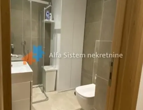 Izdavanje, dvosoban stan, 45m², Južni Bulevar, Vračar Sve Podlokacije - image 11
