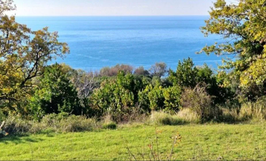 Sale, land lot, 1054m², Dobre Vode, Bar