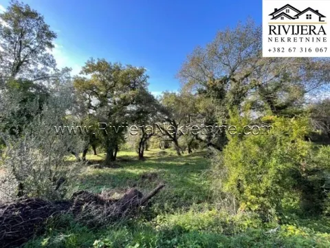 Prodaja, plac, 3300m², Kavač, Kotor - image 7