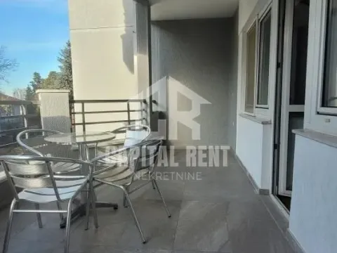 Rent, house, 220m², Senjak, Beograd - image 12