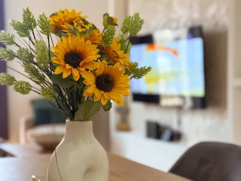 Izdavanje, jednosoban stan, 50m², Centar, Cetinje - image 6