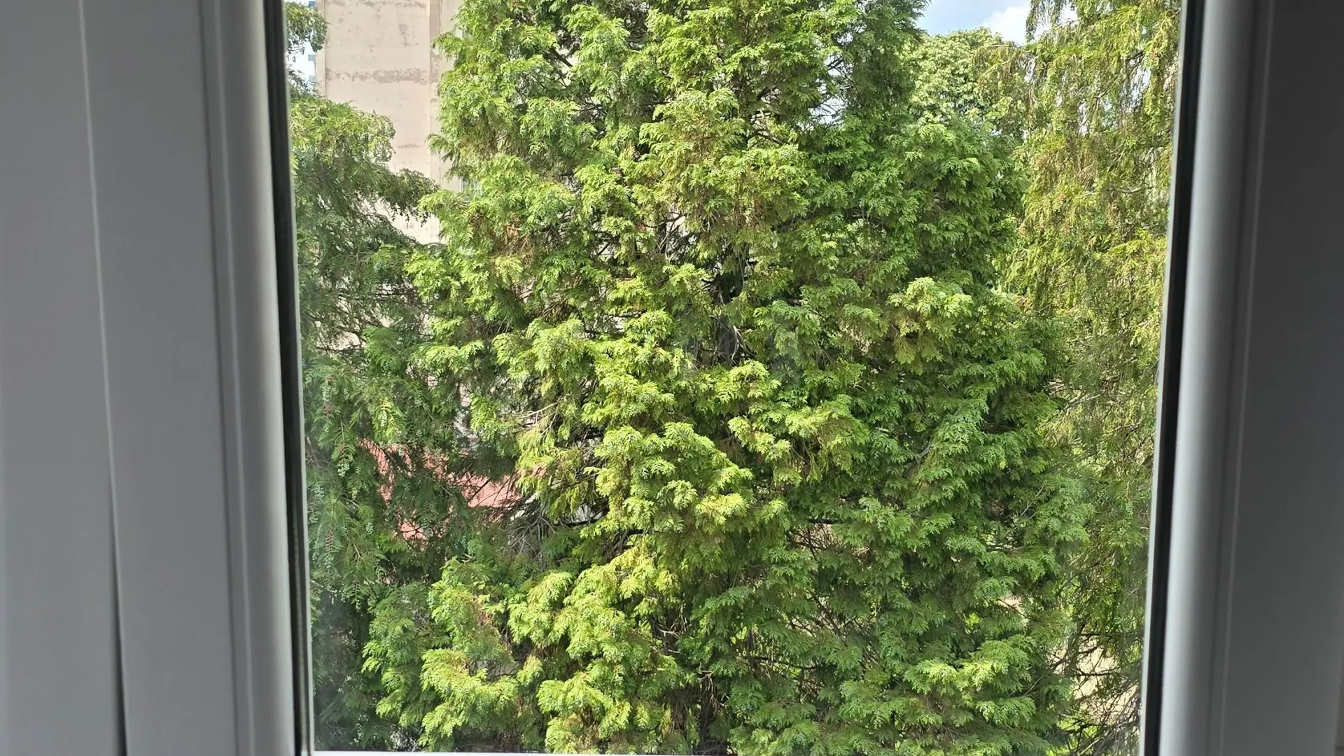 Rent, one bedroom apartment, 34m², Strelište, Pančevo