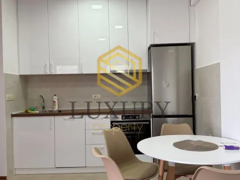 Izdavanje, jednosoban stan, 45m², Ljubović, Podgorica - image 4