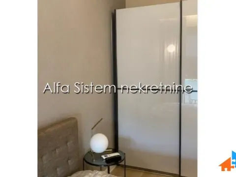 Izdavanje, dvosoban stan, 50m², Novi Beograd Blok 67, Novi Beograd Sve Podlokacije - image 10