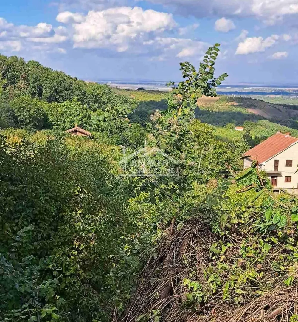Prodaja, plac, 6700m², Grocka, Beograd