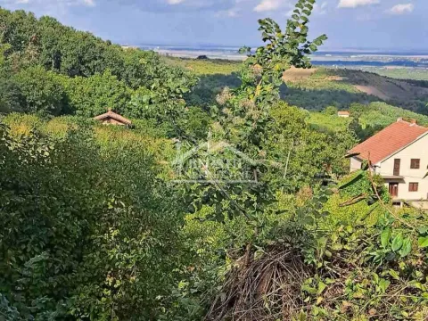 Prodaja, plac, 6700m², Grocka, Beograd - image 4