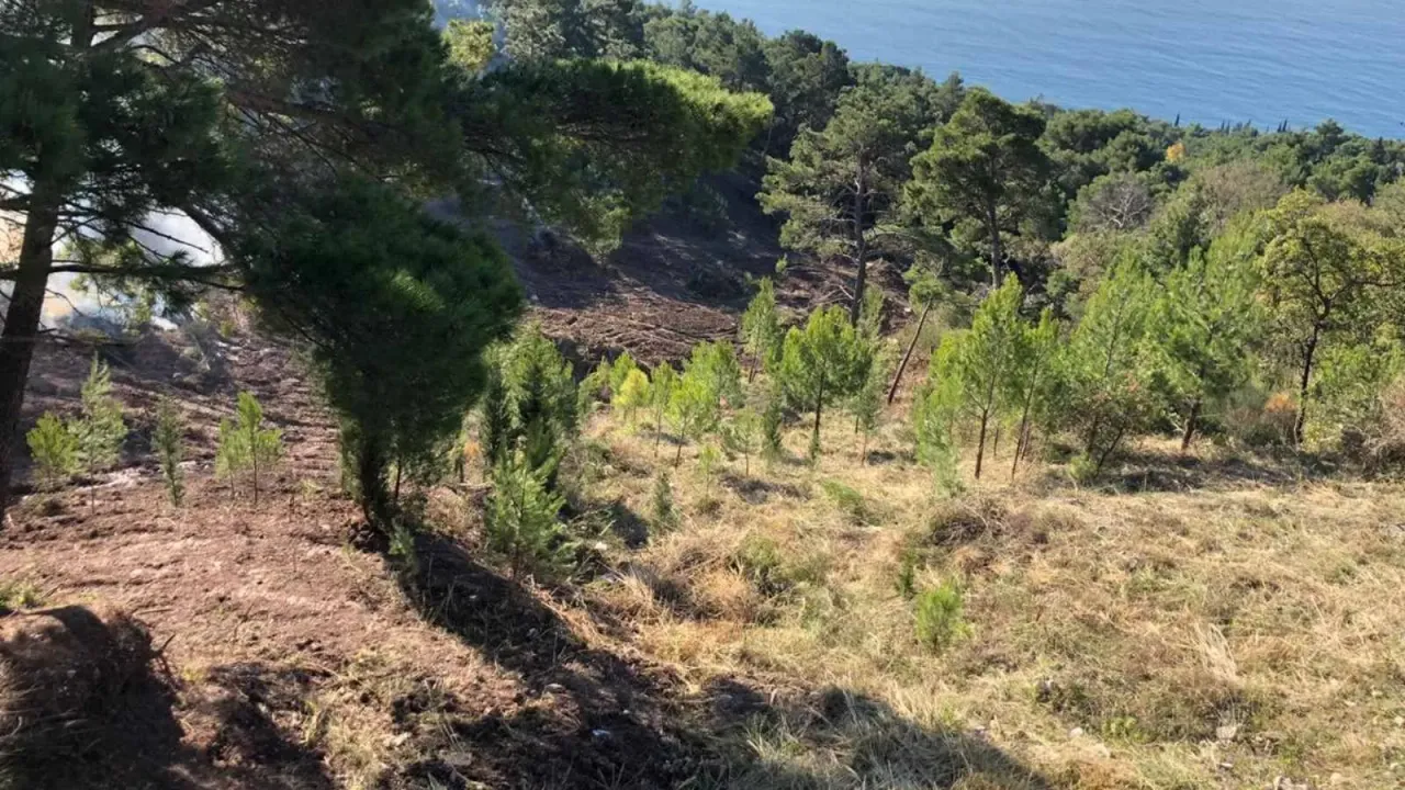 Sale, land lot, 1028m², Bar, Crna Gora