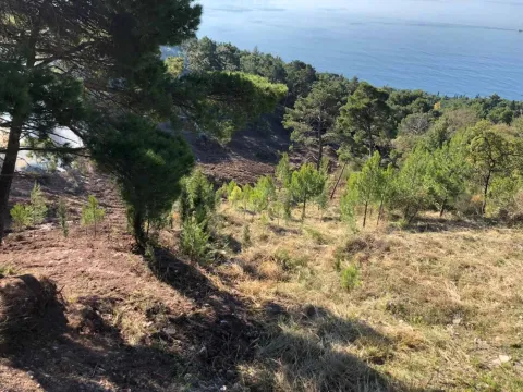 Prodaja, plac, 1028m², Bar, Crna Gora - image 1