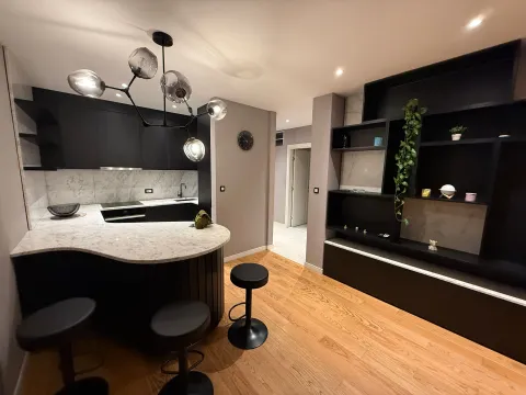 Izdavanje, jednosoban stan, 50m², Central Point, Podgorica - image 8