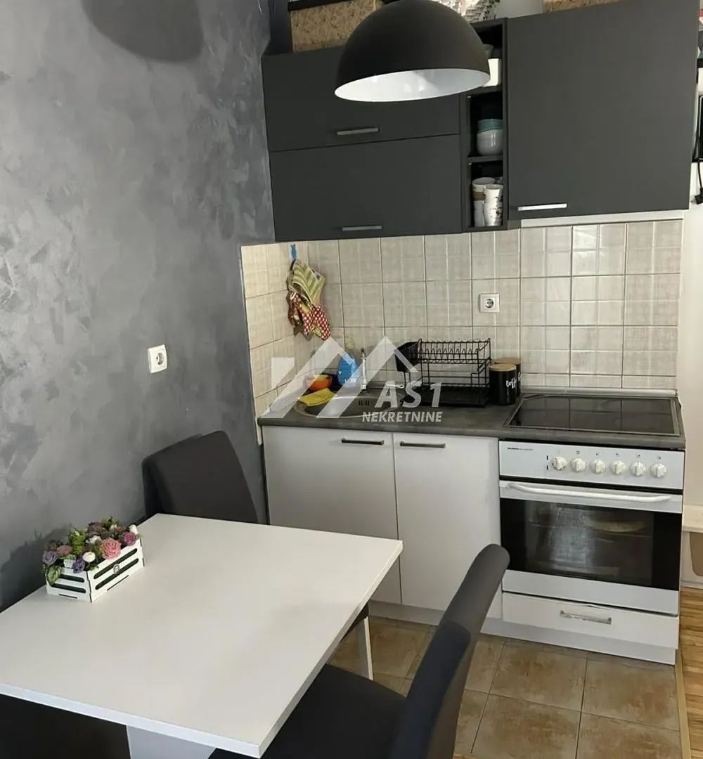 Izdavanje, stan, 25m², Podbara, Novi Sad Sve Podlokacije