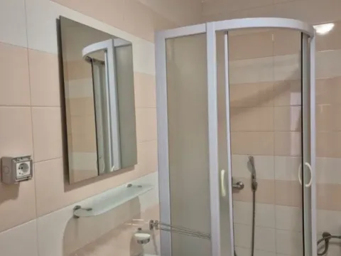 Izdavanje, jednosoban stan, 47m², Stari Aerodrom, Podgorica - image 5