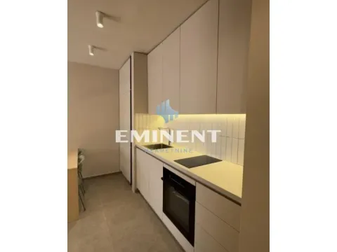 Izdavanje, dvosoban stan, 41m², Palilula Sve Podlokacije, Beograd - image 7