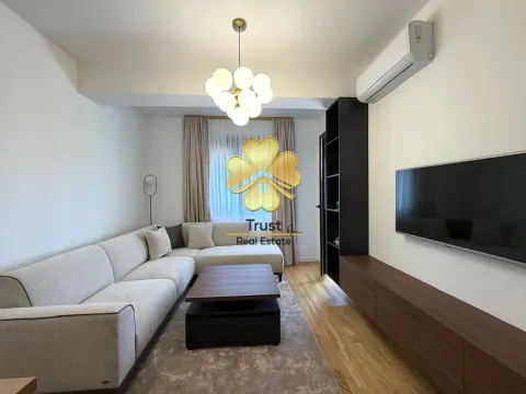 Izdavanje, jednosoban stan, 44m², Stari Aerodrom, Podgorica - image 2