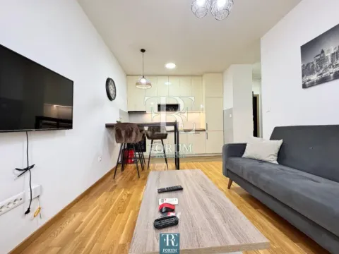 Izdavanje, jednosoban stan, 45m², Zabjelo, Podgorica - image 4