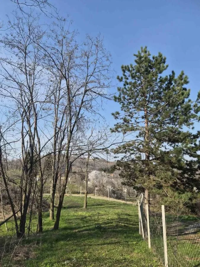Prodaja, plac, 5000m², Sremska Kamenica, Petrovaradin