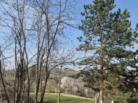 Prodaja, plac, 5000m², Sremska Kamenica, Petrovaradin - image 19