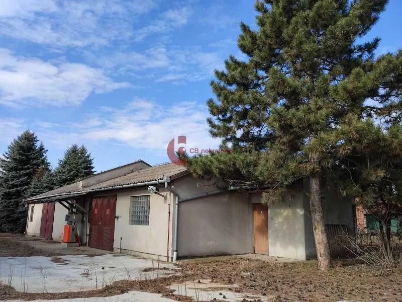 Prodaja, poslovni prostor, 205m², Zorka, Subotica
