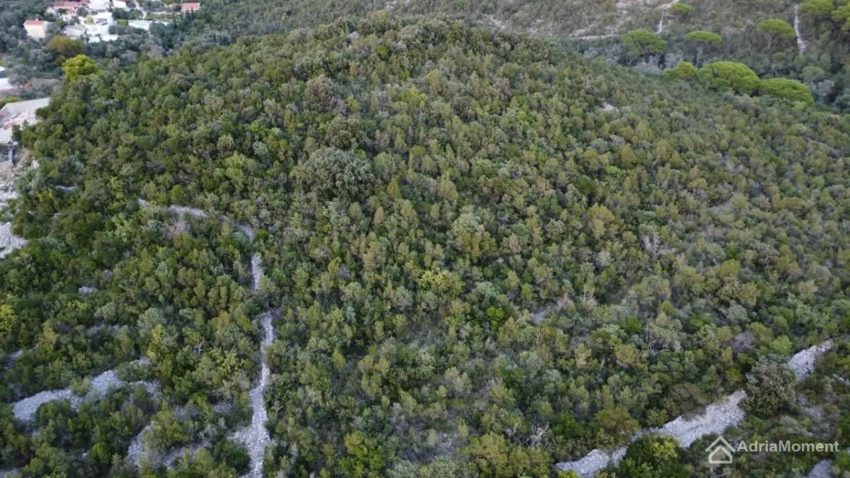 Prodaja, plac, 9000m², Radovanići, Herceg Novi