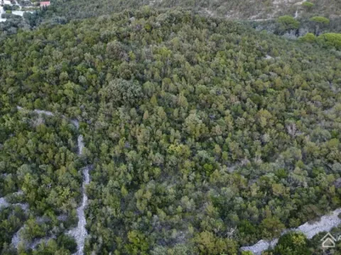 Sale, land lot, 9000m², Radovanići, Herceg Novi - image 3