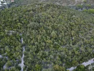 Sale, land lot, 9000m², Radovanići, Herceg Novi - image 3