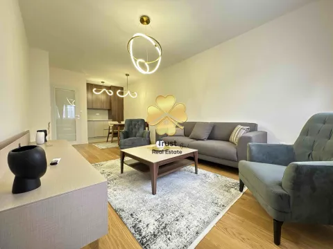 Izdavanje, jednosoban stan, 49m², Central Point, Podgorica - image 3