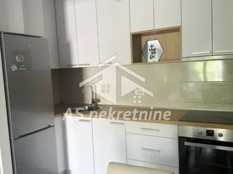 Izdavanje, dvosoban stan, 54m², Južni Bulevar, Vračar Sve Podlokacije - image 9