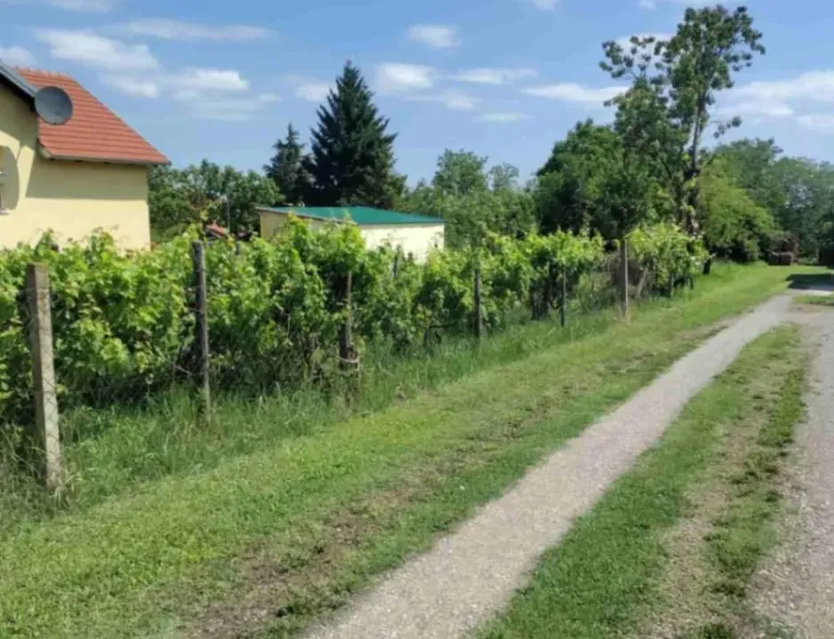 Sale, land lot, 751m², Novi Majur, Petrovaradin