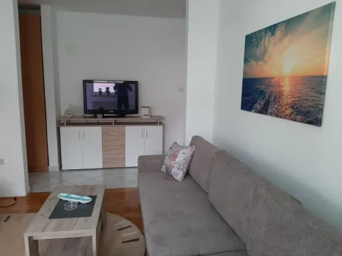 Izdavanje, dvosoban stan, 45m², Betanija, Novi Sad Sve Podlokacije - image 3