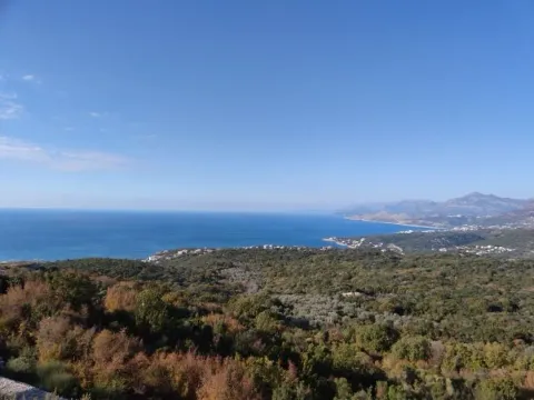 Prodaja, plac, 10000m², Bar, Crna Gora - image 1