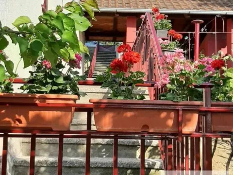 Sale, house, 220m², Sremska Kamenica, Petrovaradin - image 6