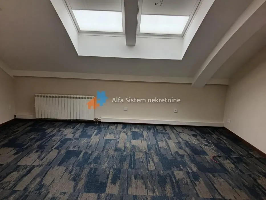 Empty attic room with skylights and carpeted flooring.