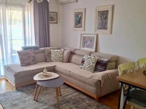 Izdavanje, jednosoban stan, 48m², Ljubović, Podgorica - image 9