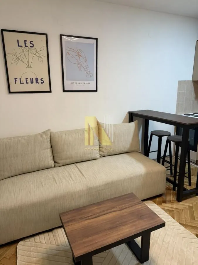 Izdavanje, garsonjera, 21m², Grbavica, Novi Sad Sve Podlokacije
