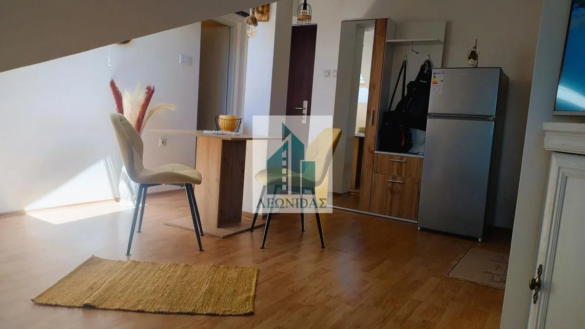 Izdavanje, garsonjera, 24m², Pantelej, Niš