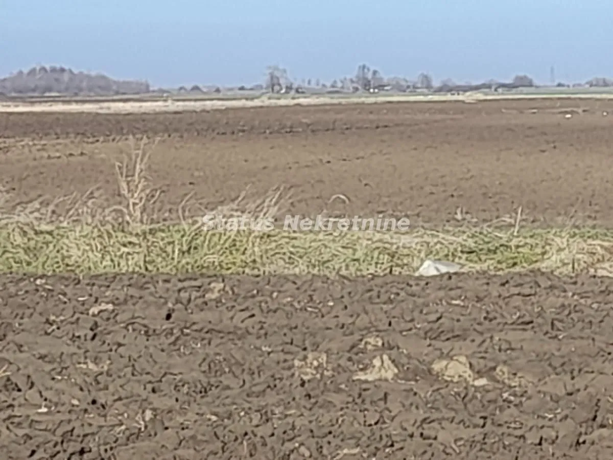 Prodaja, plac, 5966m², Futog, Novi Sad Sve Podlokacije