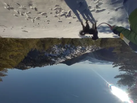 Prodaja, plac, 7000m², Mokra gora, Tara - image 13