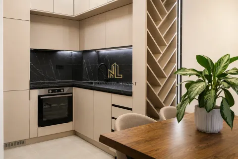Rent, one bedroom apartment, 47m², Stari Aerodrom, Podgorica - image 8