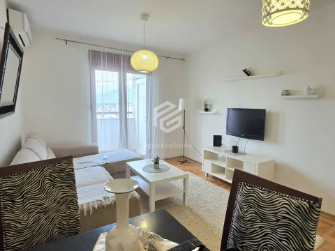 Izdavanje, jednosoban stan, 45m², Stari Aerodrom, Podgorica - image 2