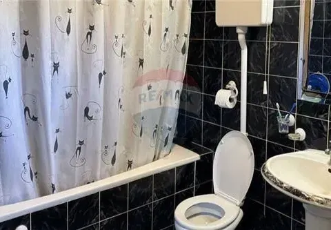 Prodaja, kuća, 226m², Niška Banja, Niš - image 2