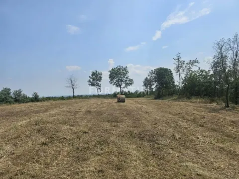 Prodaja, plac, 7200m², Sremski Karlovci, Novi Sad - image 4