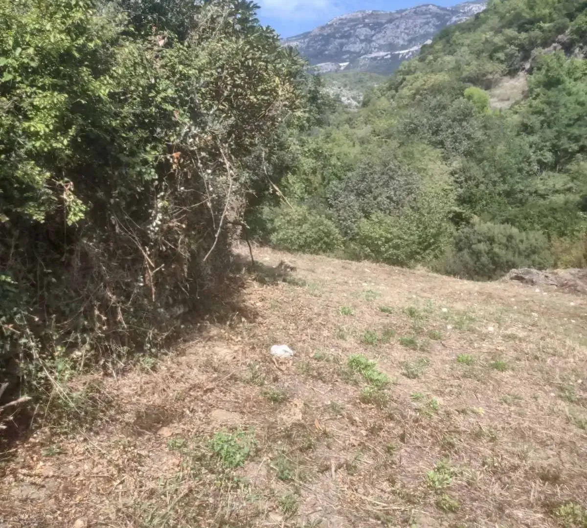 Prodaja, plac, 500m², Budva, Crna Gora