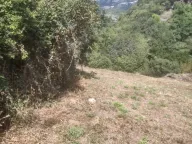 Prodaja, plac, 500m², Budva, Crna Gora - image 2