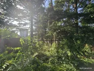 Prodaja, kuća, 230m², Gradska Bolnica, Zvezdara Sve Podlokacije - image 4