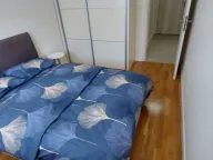 Izdavanje, jednosoban stan, 40m², Pobrežje, Podgorica - image 7