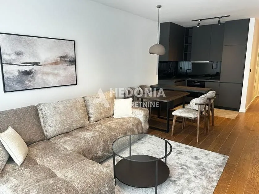 Izdavanje, dvosoban stan, 50m², Vračar Sve Podlokacije, Beograd