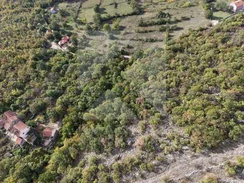 Prodaja, plac, 11798m², Pričelje, Podgorica - image 3