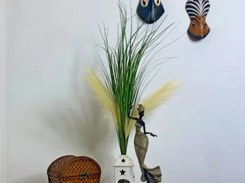 Stan-na-dan, jednosoban stan, 30m², Zemun Centar, Zemun Sve Podlokacije - image 8