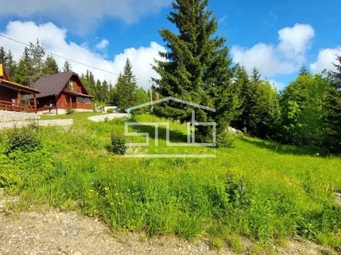 Sale, land lot, 3900m², Tara, Srbija - image 5