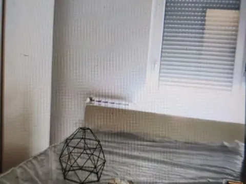 Izdavanje, dvosoban stan, 51m², Zemun Sve Podlokacije, Beograd - image 3